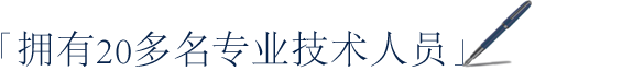 「拥有20多名专业技术人员」