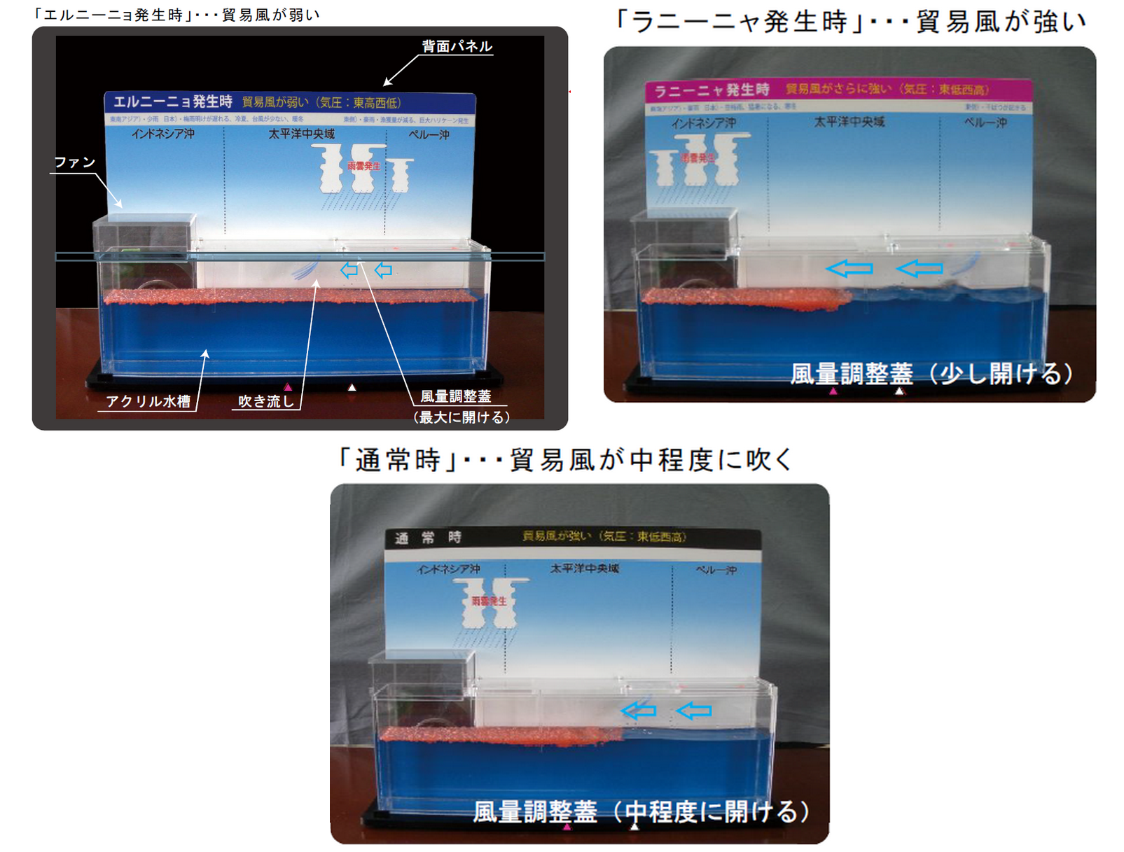 エルニーニョ実験模型